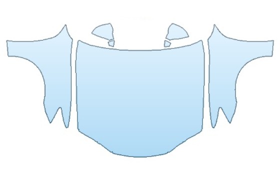 PRECUT PPF CLEAR BRA WRAP