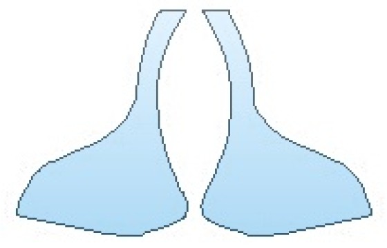 PRECUT PPF CLEAR BRA WRAP