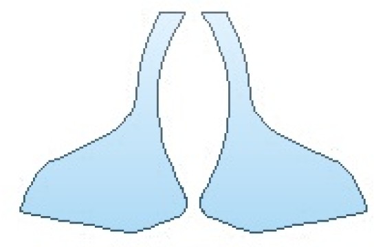 PRECUT PPF CLEAR BRA WRAP