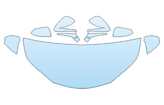 PRECUT PPF CLEAR BRA WRAP