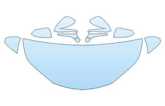 PRECUT PPF CLEAR BRA WRAP