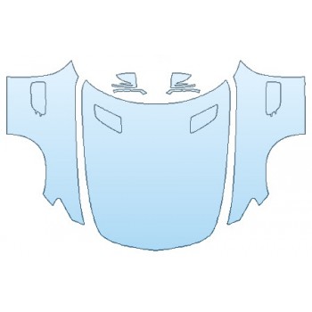 PRECUT PPF CLEAR BRA WRAP