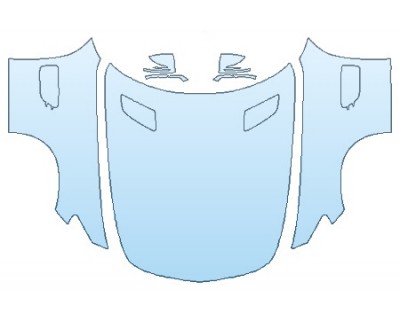 PRECUT PPF CLEAR BRA WRAP