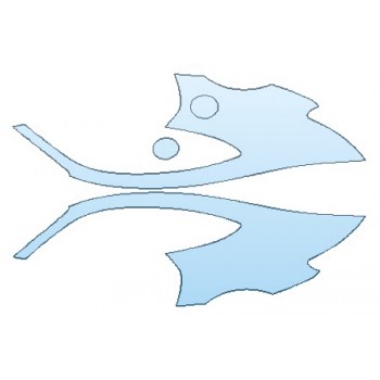 PRECUT PPF KIT - 2018 MERCEDES AMG GT C COUPE FULL REAR QUARTERS PRECUT PPF CLEAR BRA WRAP