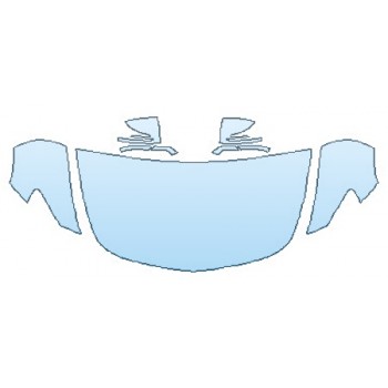 PRECUT PPF CLEAR BRA WRAP