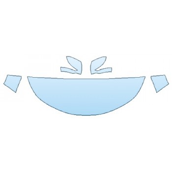 PRECUT PPF CLEAR BRA WRAP