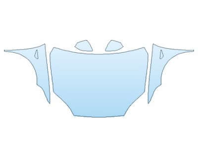 PRECUT PPF CLEAR BRA WRAP