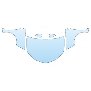 PRECUT PPF CLEAR BRA WRAP