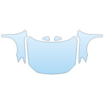 PAINT PROTECTION KIT - 2019 VOLKSWAGEN PASSAT 2.0T S FULL HOOD(WRAPPED) FENDERS MIRRORS - PRECUT PPF CLEAR BRA WRAP