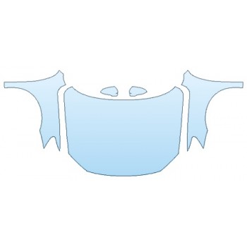 Precut PPF Kit – Clear Bra Paint Protection Film PAINT PROTECTION KIT - 2019 VOLKSWAGEN PASSAT 2.0T SEL PREMIUM FULL HOOD FENDERS MIRRORS - PRECUT PPF CLEAR BRA WRAP