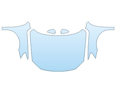 PAINT PROTECTION KIT - 2019 VOLKSWAGEN PASSAT 2.0T SEL PREMIUM FULL HOOD FENDERS MIRRORS - PRECUT PPF CLEAR BRA WRAP