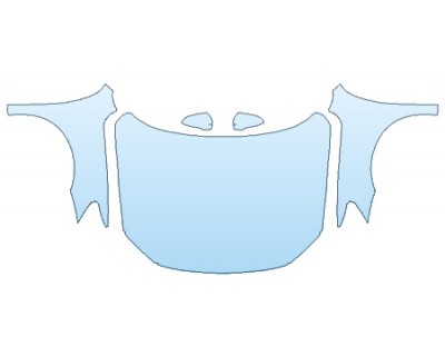 PAINT PROTECTION KIT - 2019 VOLKSWAGEN PASSAT 2.0T SEL PREMIUM FULL HOOD(WRAPPED) FENDERS MIRRORS - PRECUT PPF CLEAR BRA WRAP