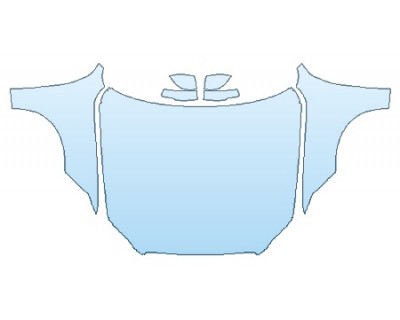 PRECUT PPF CLEAR BRA WRAP