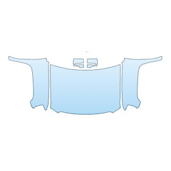 PRECUT PPF CLEAR BRA WRAP