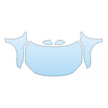 PRECUT PPF CLEAR BRA WRAP