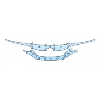 PRECUT PPF CLEAR BRA WRAP