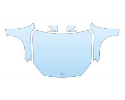PRECUT PPF CLEAR BRA WRAP