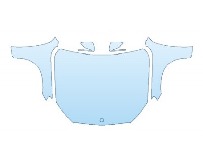 PRECUT PPF CLEAR BRA WRAP