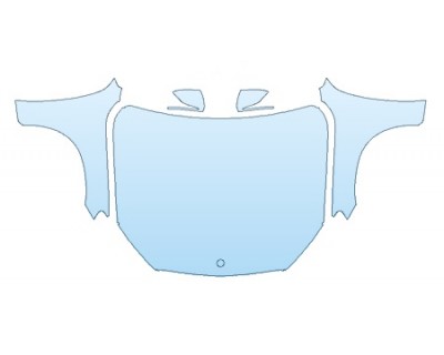 PRECUT PPF CLEAR BRA WRAP