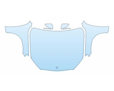 PRECUT PPF CLEAR BRA WRAP