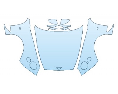 PRECUT PPF CLEAR BRA WRAP