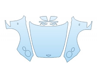 PRECUT PPF CLEAR BRA WRAP