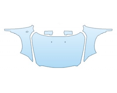 PRECUT PPF CLEAR BRA WRAP