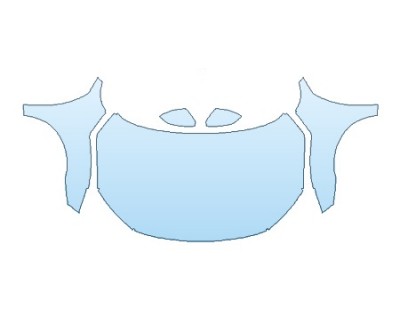 PRECUT PPF CLEAR BRA WRAP