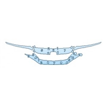 PRECUT PPF CLEAR BRA WRAP
