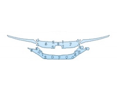 PRECUT PPF CLEAR BRA WRAP