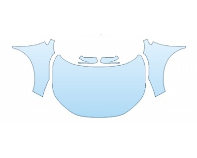 PRECUT PPF CLEAR BRA WRAP