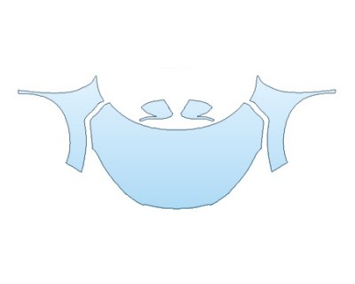 PRECUT PPF CLEAR BRA WRAP