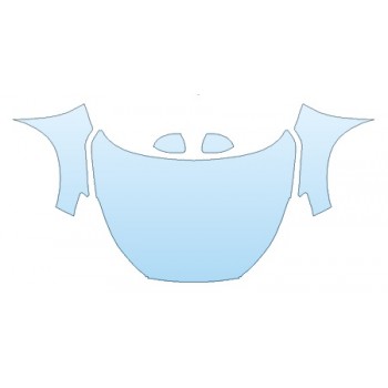 PRECUT PPF CLEAR BRA WRAP