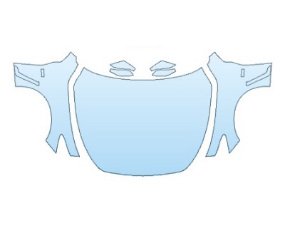 PRECUT PPF CLEAR BRA WRAP