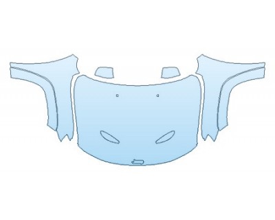 PRECUT PPF CLEAR BRA WRAP