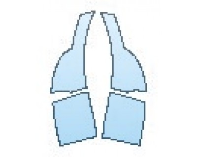 PRECUT PPF CLEAR BRA WRAP