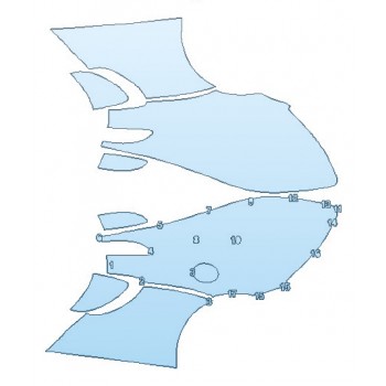 PRECUT PPF CLEAR BRA WRAP