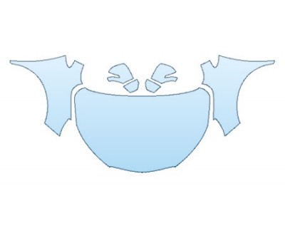 PRECUT PPF CLEAR BRA WRAP