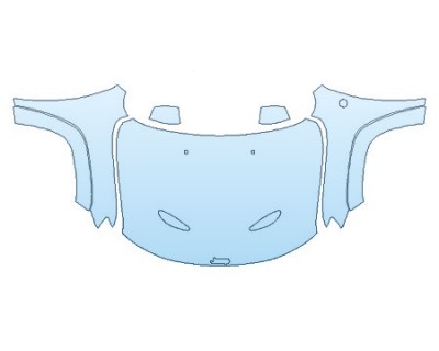 PRECUT PPF CLEAR BRA WRAP