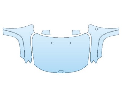PRECUT PPF CLEAR BRA WRAP