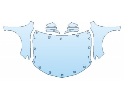 PRECUT PPF CLEAR BRA WRAP