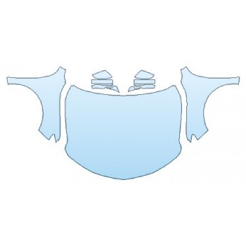 PRECUT PPF CLEAR BRA WRAP