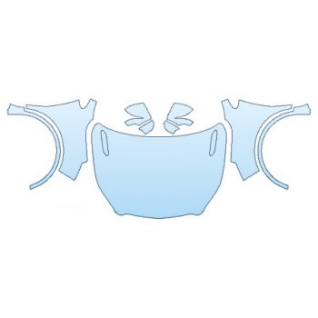 PRECUT PPF CLEAR BRA WRAP