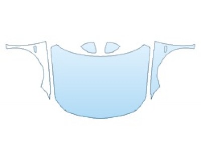 PRECUT PPF CLEAR BRA WRAP