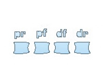 PRECUT PPF CLEAR BRA WRAP