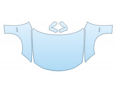 PRECUT PPF CLEAR BRA WRAP