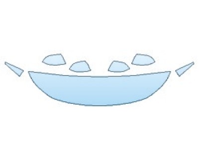 PRECUT PPF CLEAR BRA WRAP