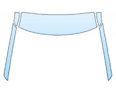 PRECUT PPF CLEAR BRA WRAP