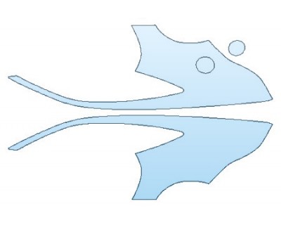 PRECUT PPF CLEAR BRA WRAP