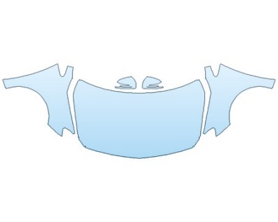 PRECUT PPF CLEAR BRA WRAP
